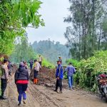 Polres Probolinggo Gerak Cepat Bantu Masyarakat Evakuasi Tebing Longsor Di Jalur Wisata Bromo