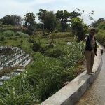 Rehabilitasi Saluran Mategal 1 B Desa Sumber Dodol Panekan, Untuk Pertanian Dan Mengurangi Banjir