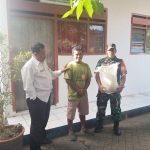 Pastikan Tepat Sasaran, Babinsa Dampingi Penyaluran Bantuan Pangan 10 Kg Beras