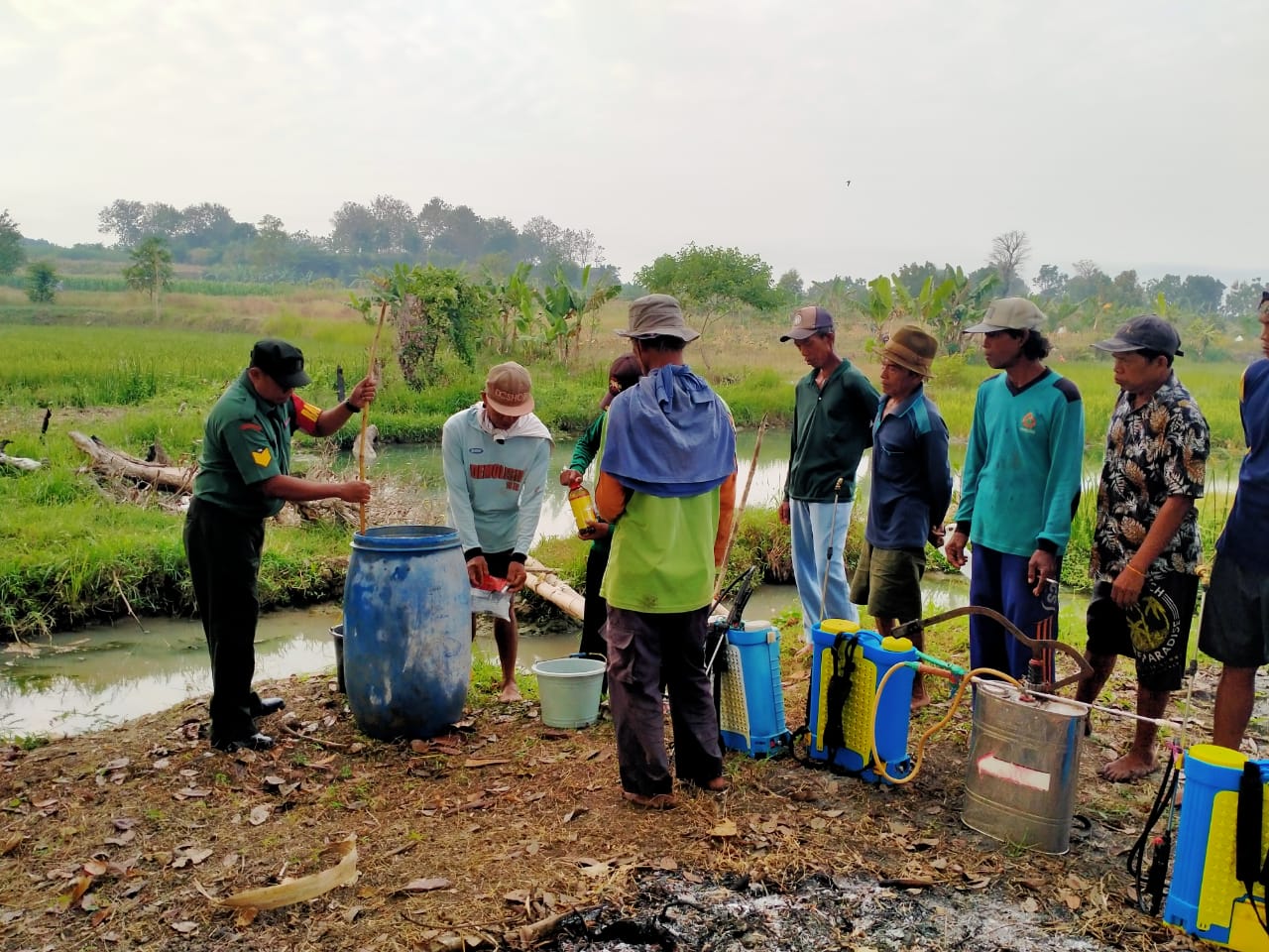 Babinsa Lakardowo Koramil Jetis Dampingi Petani Basmi Hama Wereng