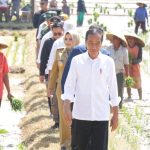 5 Lokasi di Kabupaten Pekalongan Menjadi Agenda Kunjungan Kerja Presiden RI Ir. H. Joko Widodo
