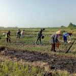 <em>Ketahanan Pangan Koramil 0815/04 Puri Bareng Poktan Tanam Jagung</em>