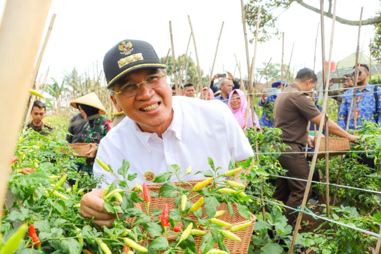 Dicky Panen Cabai Bersama Komoditas Gertam Parti Cimahi