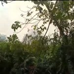 Hutan Gambut Terbakar, Warga Komplek Korpri Blok S Waspada