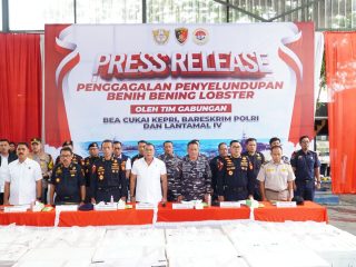 DIRKRIMSUS POLDA KEPRI HADIRI KEGIATAN KONFERENSI PERS PENYELUDUPAN BENIH BENING LOBSTER SEBANYAK 237.305 BENIH BENING LOBSTER SENILAI 23,6 MILIAR RUPIAH