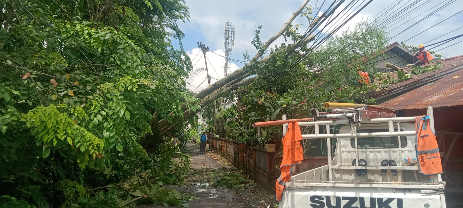 Akibat Angin Kencang Rumah Seorang Warga Dikomplek Korpri Nyaris Tertimpa Pohon Besar.