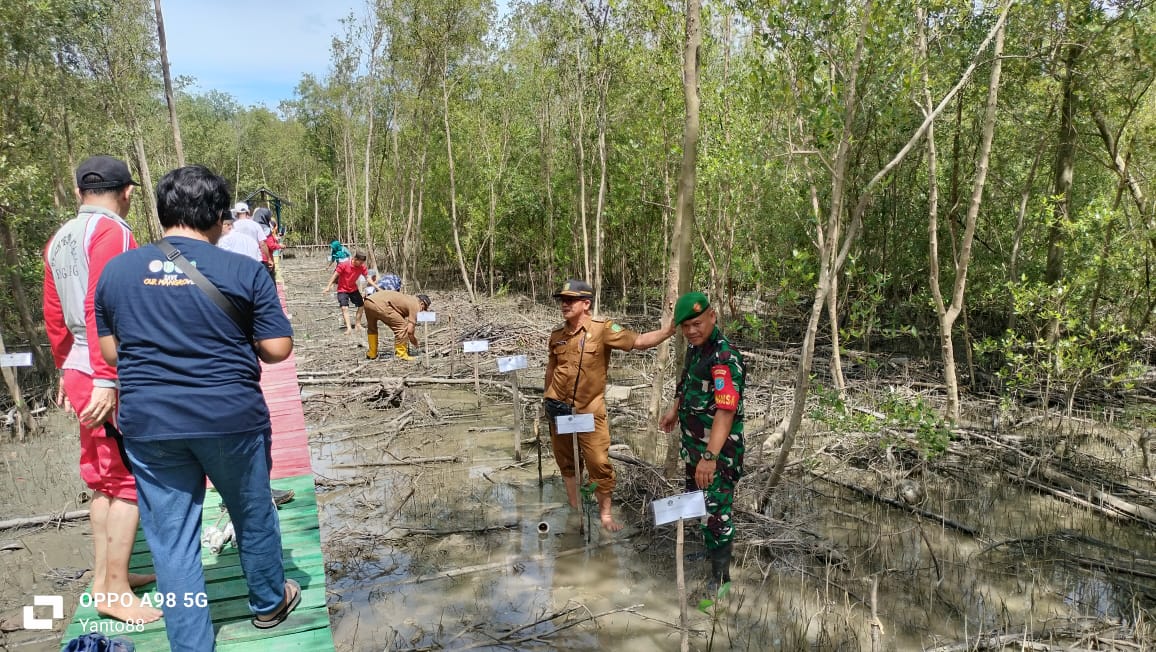 Danramil 03/Sry Kodim 1209/Bky Dampingi Tanam Mangrove Selamatkan Daerah Pesisir