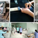 Terobosan Terapi Komplementer Teknologi Nano Kombinasi NO, Mg dan GNH