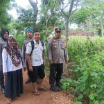Kapolsek Talango Sumenep Bersama Korluh Gelar Sosialisasi Perawatan Tanaman Jagung di Dusun Jate Laok