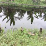 Jalan Di Sungai Raya Dalam Semakin Terturun Akibat Tidak Adanya Turap Dipinggir Sungai