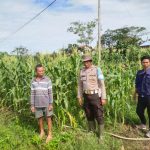 Aiptu Pastiawan, Bintara Penggerak Ketahanan Pangan Polsek Simpang Hilir, Kayong Utara, Perkuat Sinergi di Dusun Sinar Palung