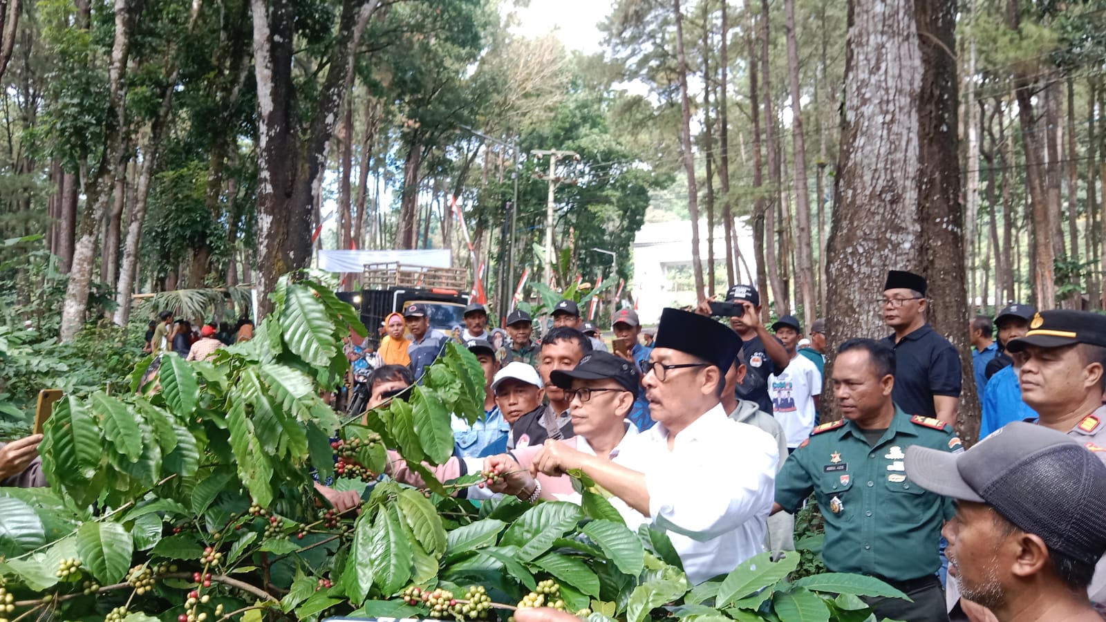 Musim Panen Kopi Datang, Wabup Jember: OPD Harus Serius Mendampingi Petani