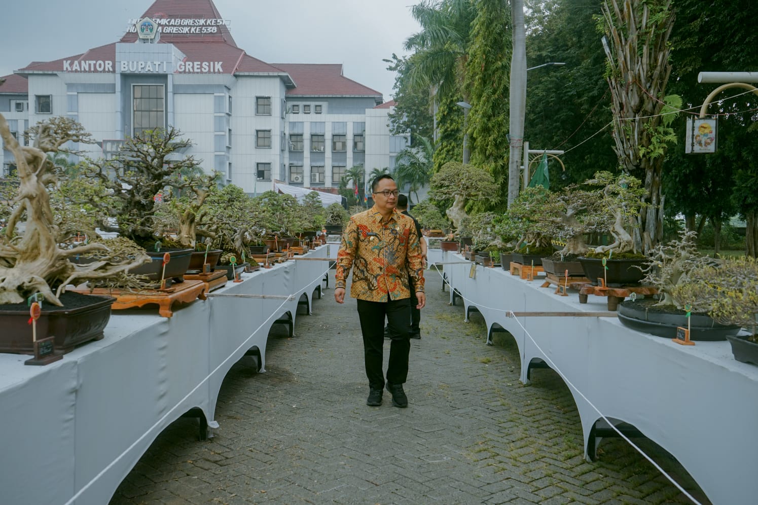 Giri Kedaton Bonsai 2025:  Tampil Perdana Sebagai Pelopor Pameran Bonsai Kelas Bintang