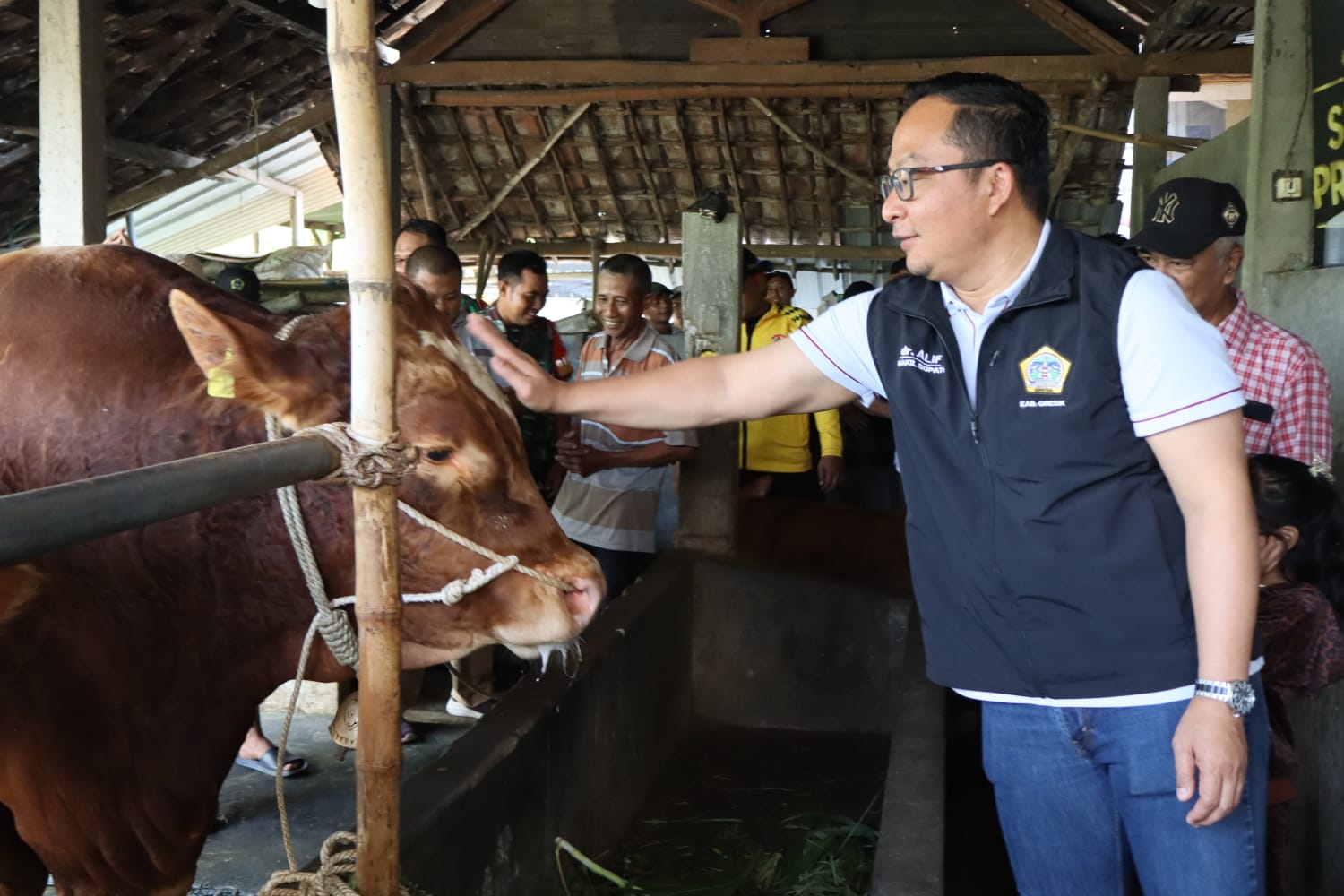 JELANG IDULADHA, DUA EKOR SAPI MILIK PETERNAK GRESIK DIBELI PRESIDEN PRABOWO