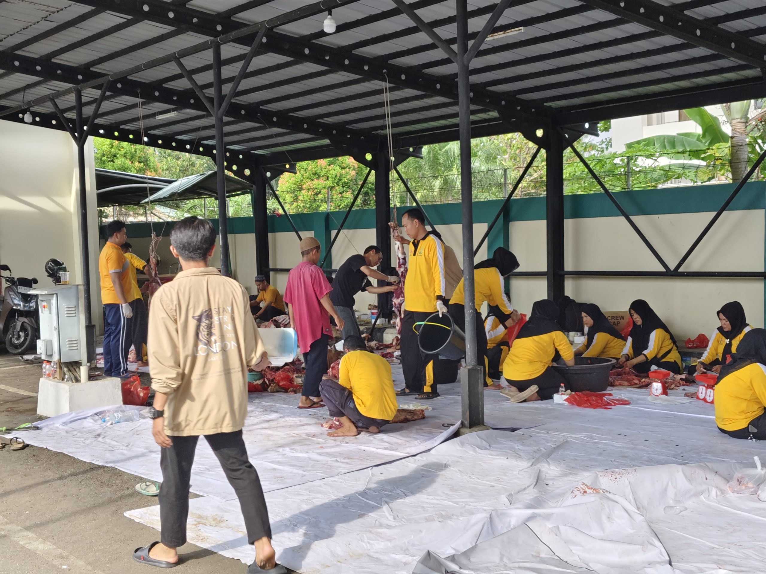 Ditahun Ini Kejaksaan Tinggi Kalimantan Barat Memotong Hewan Qurban Sebanyak 15 Ekor Sapi