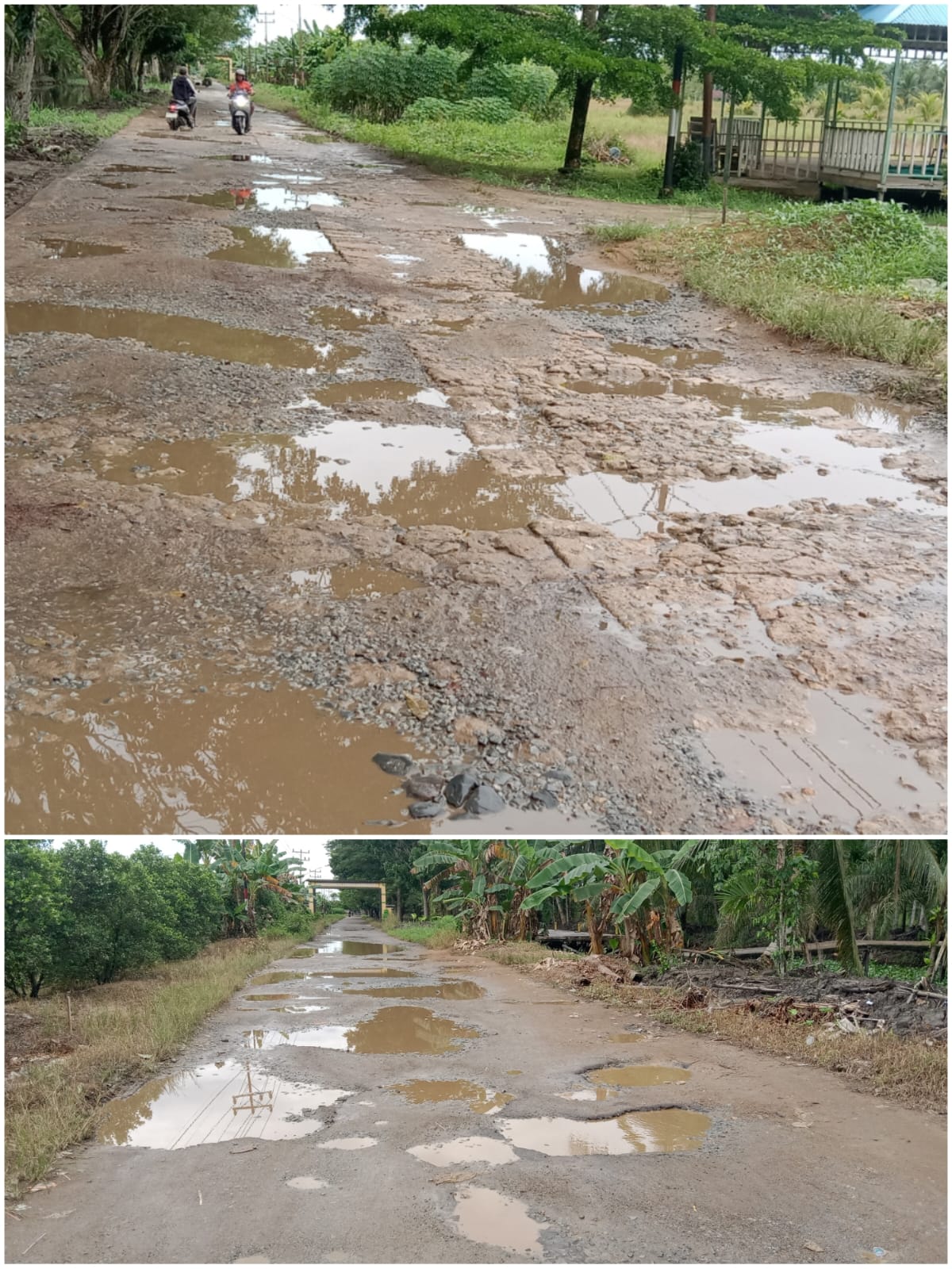 Masyarakat Desa Punggur Besar dan Punggur Kecil Mengharapkan Agar Jalan Pelita Cepat Dibangun