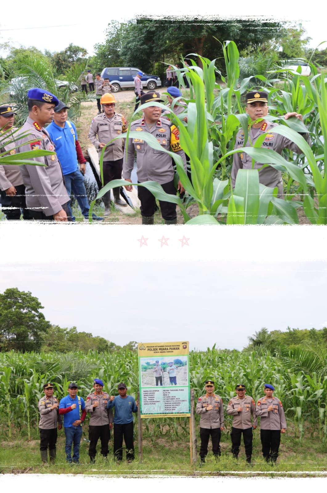 Kunjungi Ketapang, Tim Asistensi Ketahanan Pangan Polda Kalbar Tinjau Penanaman Jagung Di Kecamatan Benua Kayong Dan Kecamatan Muara Pawan