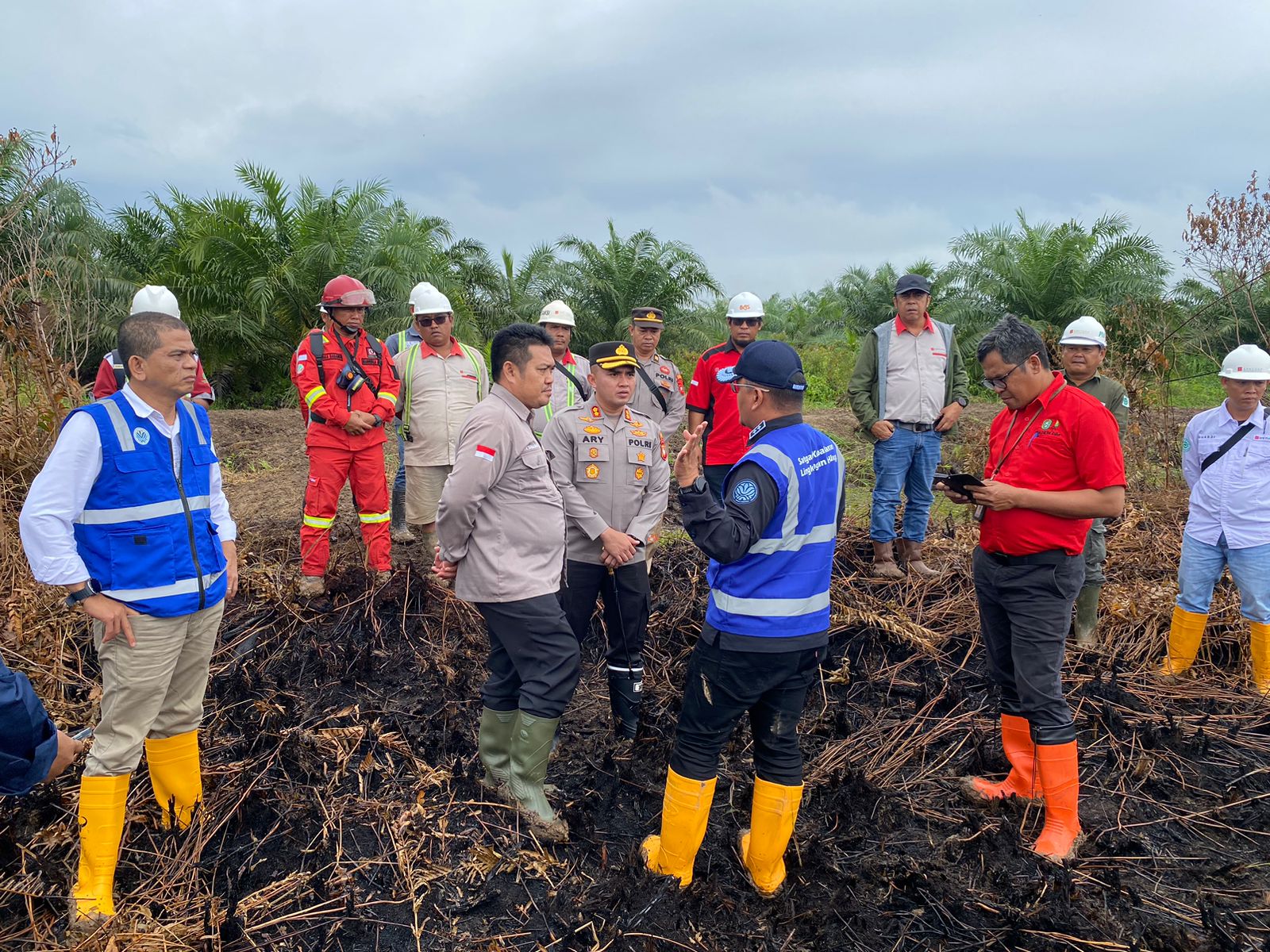 KLHK Segel Lahan Terbakar di Kubu Raya, Polisi: Ini Bentuk Penegakan Hukum Tegas