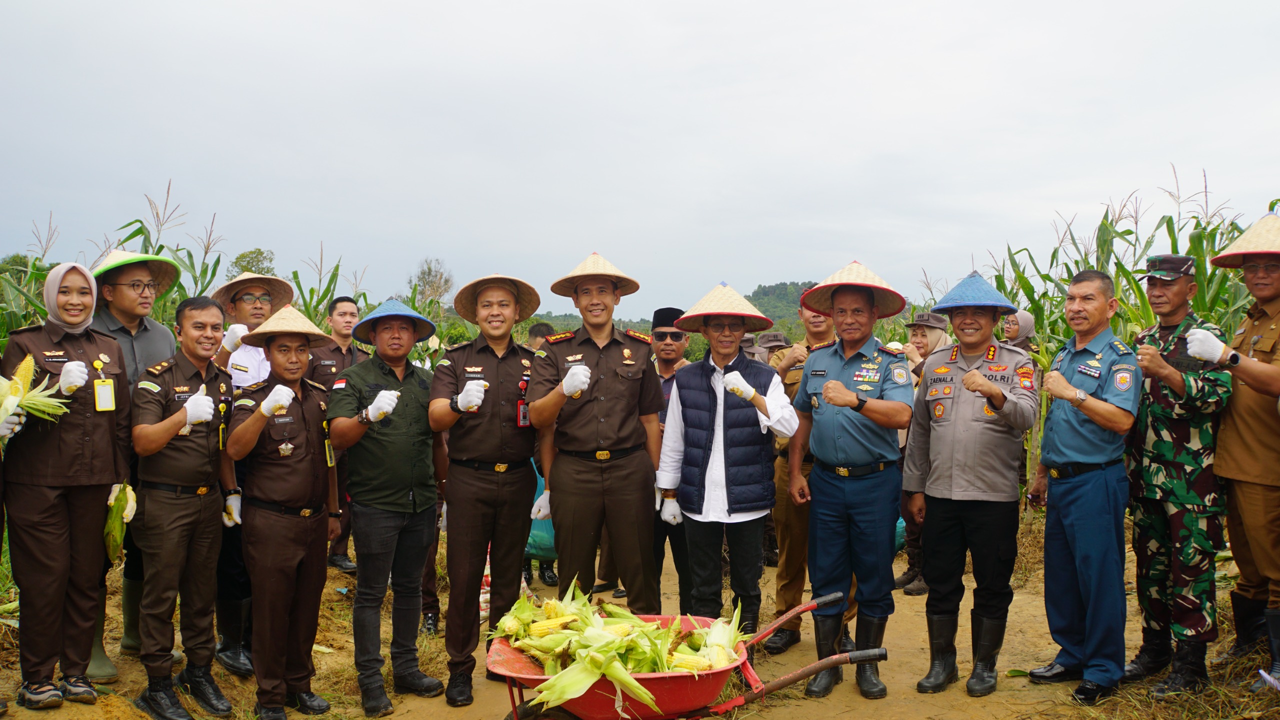Wujud Sinergitas Ketahanan Pangan Nasional, TNI AL Sukseskan Panen Raya Jagung di Galang