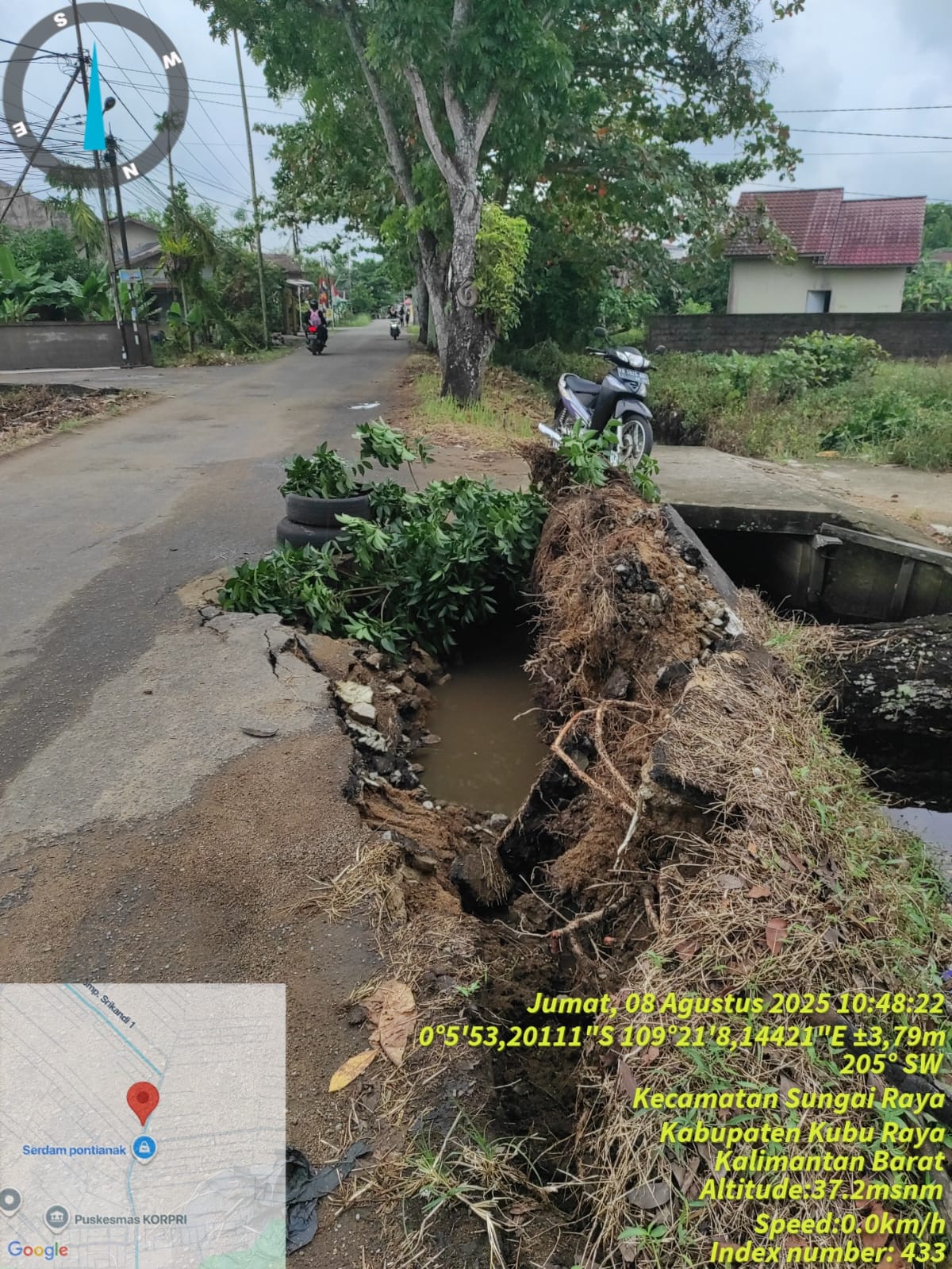 Akibat Hujan dan Angin.Kencang Sebatang Pohon Kayu Akasia Tumbang di Parit Tanggok