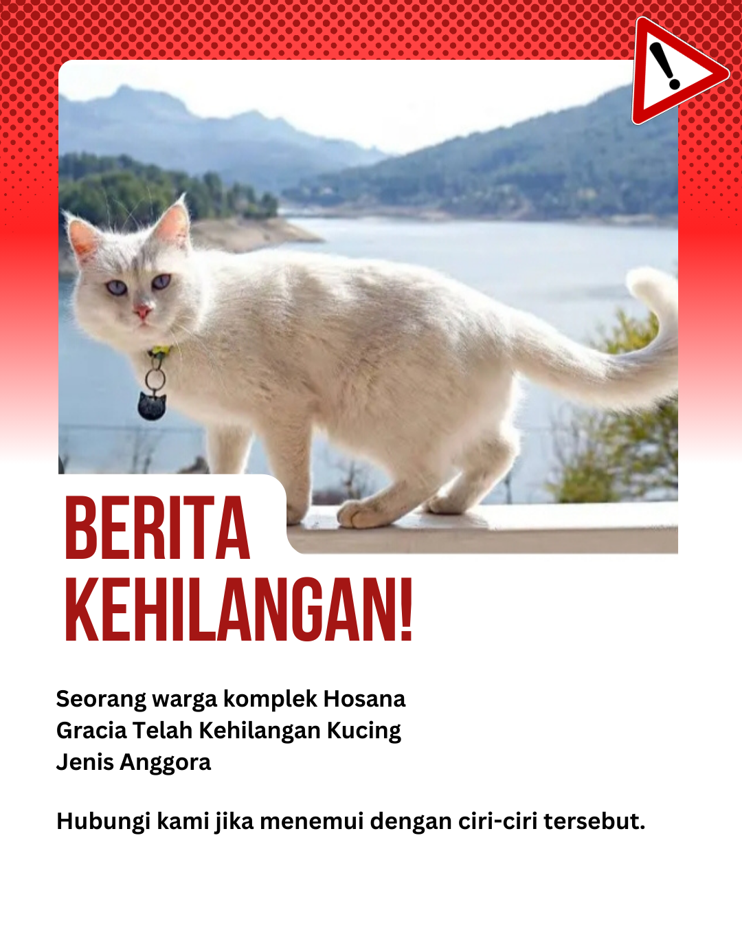 Berita Kehilangan