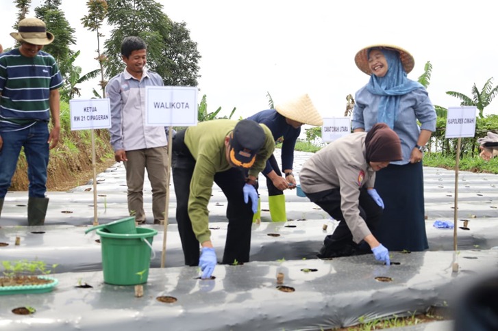 Langkah Strategis Atasi Inflasi dan Penuhi Kebutuhan Pangan