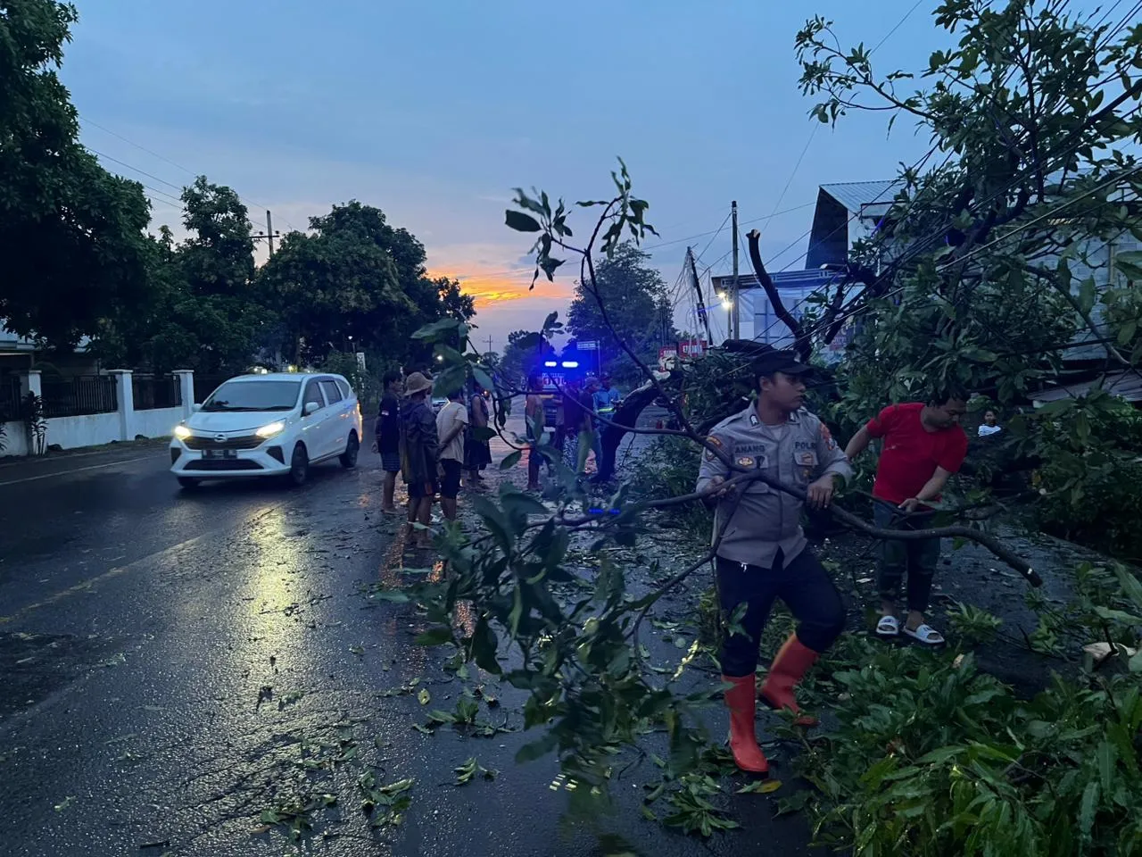 Polres Probolinggo Bersama BPBD Evakuasi Pohon Tumbang di Jalur Pantura Paiton