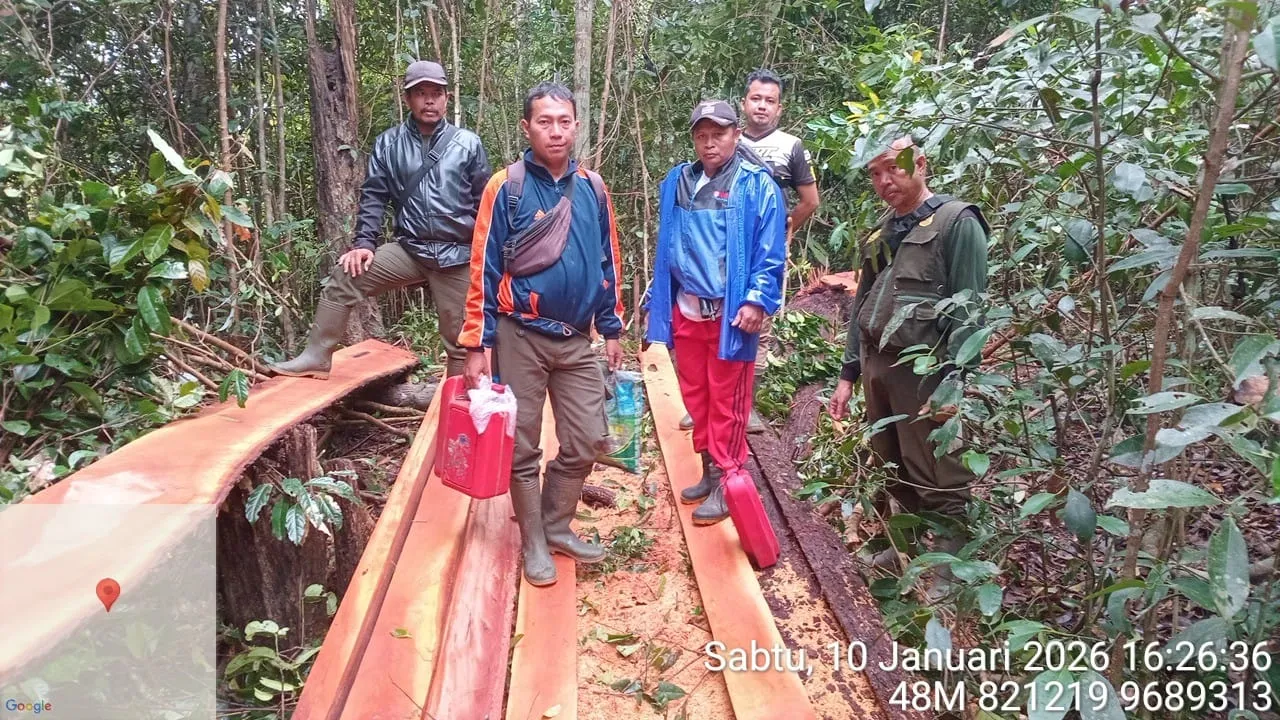 Langkah Nyata KPHP Gunung Duren Cegah & Tekan Ilegal Logging