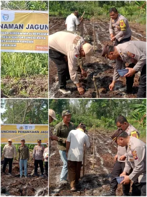 Bumdes Desa Sungai Raya Dalam Bersama Polres Kubu Raya Lauching Penanaman Jagung DI Komplek Harum.Manis