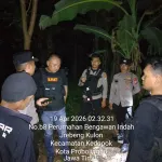 Patroli Dini Hari, Polisi di Probolinggo Kota Gagalkan Pencurian Sapi