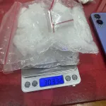 Polres Ketapang Ungkap 3 Ons Sabu Dari Pengrusakan Jagung Ketahanan Pangan. Lanjut Dalami Dugaan Ketelibatan 3 Oknum Personil Polri