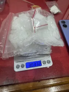 Polres Ketapang Ungkap 3 Ons Sabu Dari Pengrusakan Jagung Ketahanan Pangan. Lanjut Dalami Dugaan Ketelibatan 3 Oknum Personil Polri