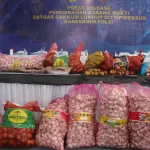 Bareskrim Polri Musnahkan Ribuan Kilogram Bawang Impor Ilegal dari Jalur Tikus Perbatasan Malaysia