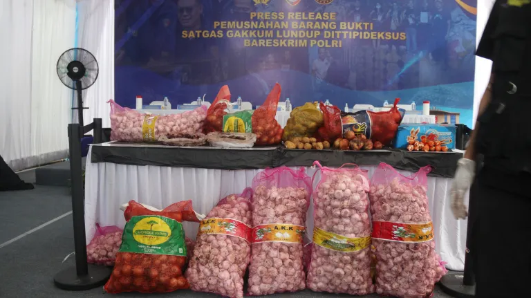 Bareskrim Polri Musnahkan Ribuan Kilogram Bawang Impor Ilegal dari Jalur Tikus Perbatasan Malaysia
