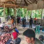Warga Desa Talang Empat, Korban hari raya idul Adha sebanyak 19 ekor hewani walaupun di berada di daerah terpencil dan Jalan kategori sangat tidak layak