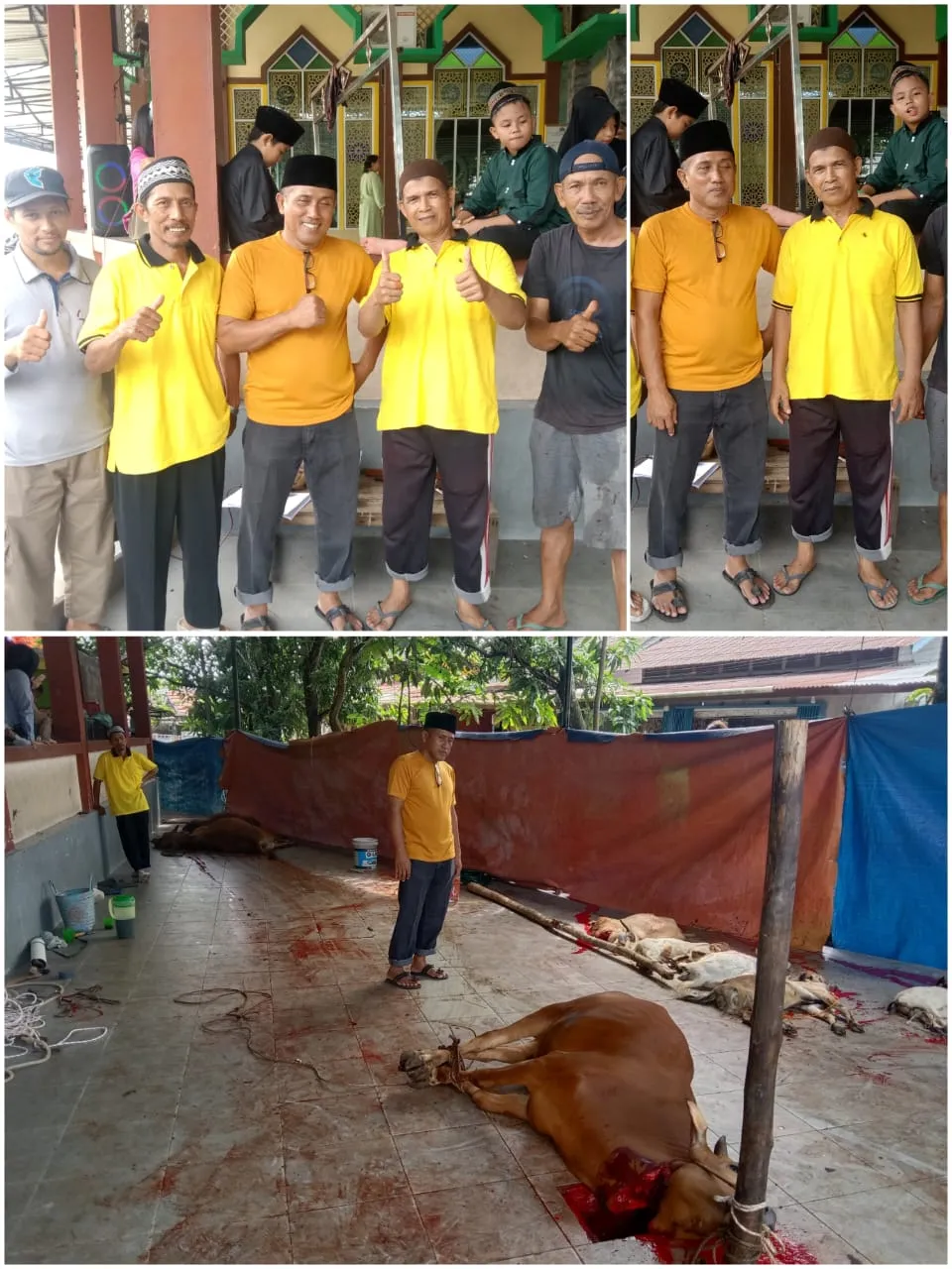 Masjid Nurhidayatullah Potong.Hewan Qurban 6 Ekor Sapi dan 6 Ekor Kambing