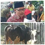 KUTT Suka Makmur Salurkan Ribuan Daging Korban Kepada Pengurus Dan Anggota Maupun Masyarakat Setempat
