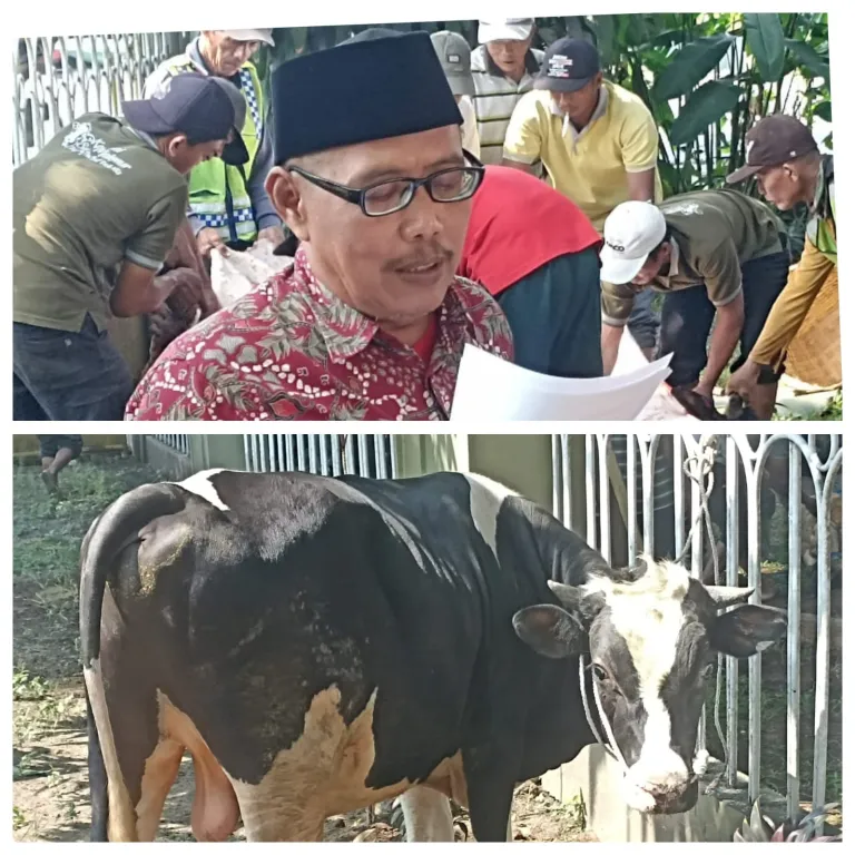 KUTT Suka Makmur Salurkan Ribuan Daging Korban Kepada Pengurus Dan Anggota Maupun Masyarakat Setempat