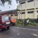 Pohon Trembesi Tumbang Timpa 9 Siswa SD di Cimahi, Pemkot Pastikan Korban Teratasi
