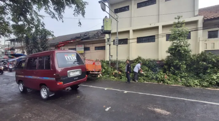 Pohon Trembesi Tumbang Timpa 9 Siswa SD di Cimahi, Pemkot Pastikan Korban Teratasi