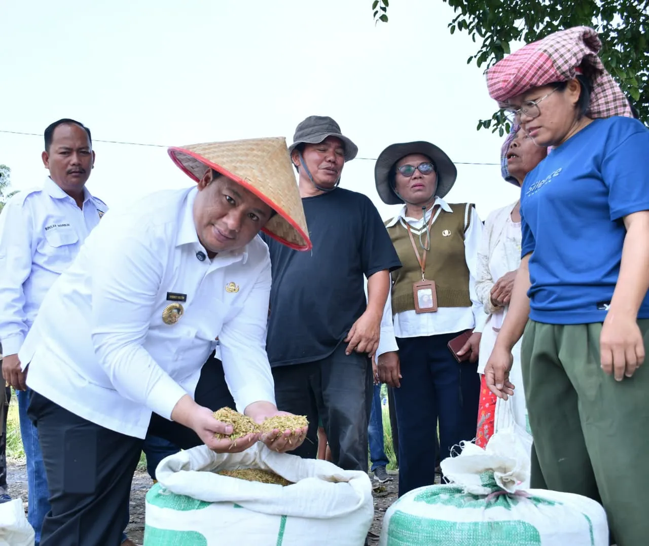 Taksi Alsintan Permudah Petani, Bupati Samosir Vandiko T. Gultom Turun Langsung Panen Padi Bersama Masyarakat