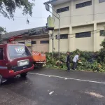 Pohon Trembesi Tumbang Timpa 9 Siswa SD di Cimahi, Pemkot Pastikan Korban Teratasi