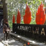 Dukun, Sinshe, Tabib vs Dokter: Siapa Tukang Sembuh Paling Manjur?