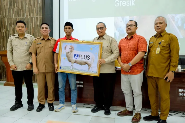 Gresik Perkuat Ekosistem Peternakan, Kambing Domba Didorong Jadi Produk Bernilai Tambah