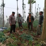 Bhabinkamtibmas Polsek Tosari Pantau Lahan Bawang Prei, Dukung Program Ketahanan Pangan Nasional
