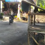 BBM Langka di Tingkat Pengecer, Roda Ekonomi Desa di Sampang Terancam Lumpuh