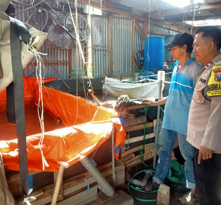 Bhabinkamtibmas Bangil Dampingi Warga Kembangkan Budidaya Lele, Dukung Program Pekarangan Pangan Bergizi