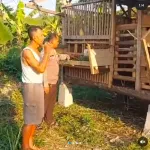 Bhabinkamtibmas Bangil Pantau Budidaya Ternak Kambing di Latek, Dukung Program P2B Asta Cita