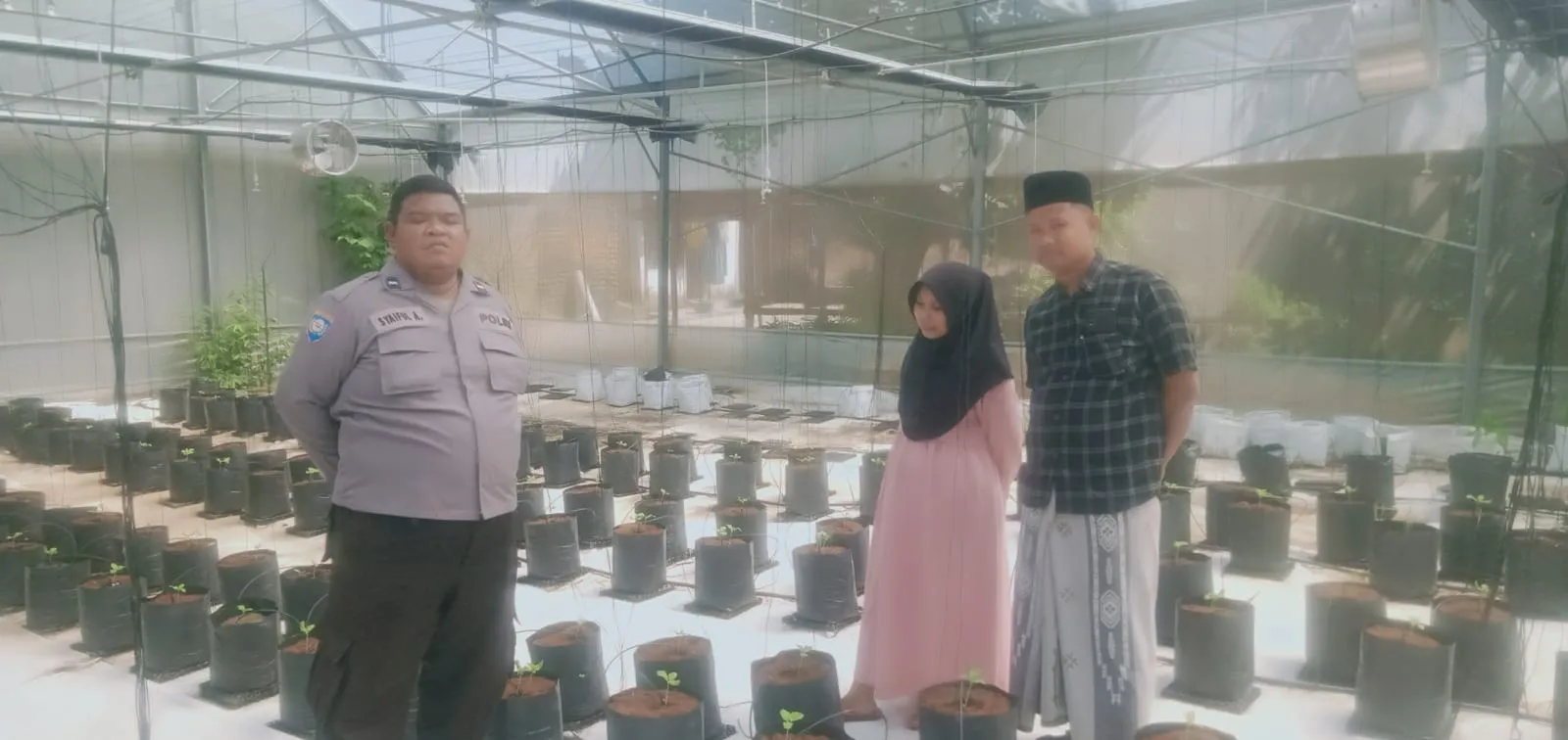 Polsek Batang-Batang Dukung Ketahanan Pangan Nasional Melalui Pemantauan Budidaya Melon Pertiwi
