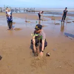 Mewakili Kapolres Ketapang, Kabag SDM Bersama Polsek Benua Kayong Laksanakan Penanaman Mangrove di Pantai Pecal dalam Rangka HUT Bhayangkara Ke-80